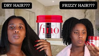 DRY HAIR FRIZZY HAIR SOLUTION  VIRAL JAPANESE HAIR MASK  SHISEIDO FINO PREMIUM TOUCH [upl. by Anstus]