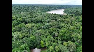 Emisión en directo de Wired Amazon by Rainforest Expeditions [upl. by Docile]