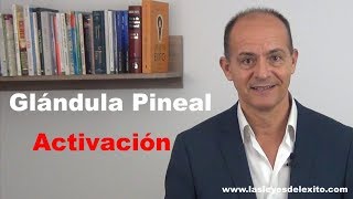 Como activar la glándula pineal conscientemente [upl. by Cirala]