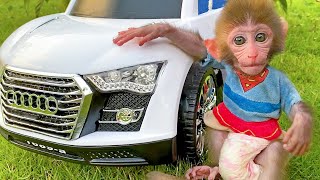 Baby Monkey Bon Bon Drives a New Car With Cute Puppy in The Garden  BonBon Monkey [upl. by Namlak]