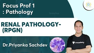 Renal Pathology RPGN  Focus Prof 1 Unacademy Future Doctors  DrPriyanka [upl. by Etnaed]