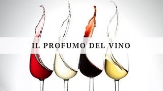 L’organizzazione del profumo del vino e la sua evoluzione nel tempo  PARTE 1 [upl. by Sunil863]