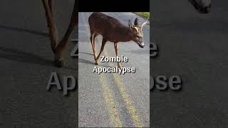 Zombies Deer Exist in Real Life  Reality of Zombie Deer Proofs [upl. by Nepsa]