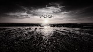 Badfish Sublime Cover  Michael Walls [upl. by Bowes]