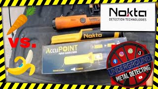 Nokta Accupoint Garrett ProPointer AT  Pinpointer review and In Depth Comparison  🍌 vs 🥕 [upl. by Marmion787]