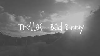 Trellas  Bad Bunny cover versión Rock [upl. by Daniell]