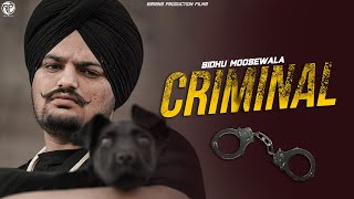 CRIMINAL Full Video Sidhu Moosewala  Punjabi GTA Video 2023  Birring Productions [upl. by Nosemyaj]