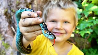 Catching and Eating Wild Snakes [upl. by Enerehs]