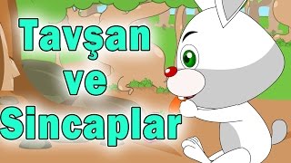 Tavşan ve Sincaplar  Ben beyaz bir tavşanım  Çizgi Film Bebek Şarkıları  Balon TV [upl. by Notkcorb]