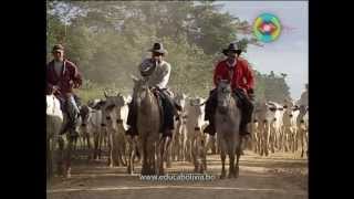 Pueblos indígenas de Bolivia Movima [upl. by Anaujal455]