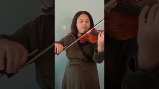 Toss A Coin To Your Witcher Violin Cover shorts [upl. by Ellenet]