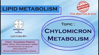 Chylomicron Metabolism  Lipoprotein Metabolism [upl. by Faria]