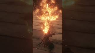 Average Sekiro Hitboxes [upl. by Noryk]