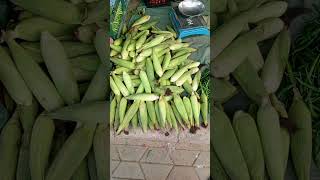 Corn beans [upl. by Nager]