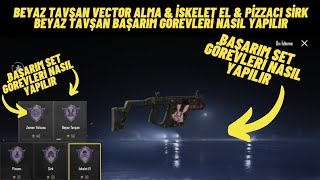 Beyaz Tavşan Başarım Görevi Nasıl Yapılır Pubg Mobile Beyaz Tavşan Vector Alma Set Başarım Görevleri [upl. by Nahij]