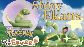 FIRST EVER Shiny Ekans in Pokemon Lets Go  21 Chain  FOY [upl. by Akialam]