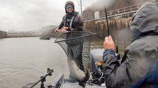 AIM Mississippi River Pools 10amp11  Pitching Jigs With Galen [upl. by Oinigih]