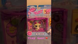 Tiny agere haul agere ageregression sfwagere littlespace agedre lps strawberryshortcake [upl. by Engdahl798]