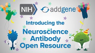 Announcing Addgenes Neuroscience Antibody Open Resource NABOR [upl. by Wendye]