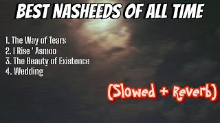 Best Collection of Nasheeds No Music  Slowed And Reverb [upl. by Stanfill]