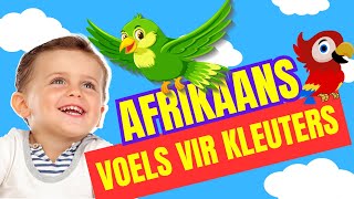 Voëls kleuters lami afrikaans [upl. by Nitsej]