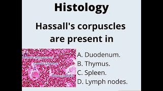 hassalls Corpuscle  Definition Functions Structure Thymus anatomy [upl. by Jimmie842]