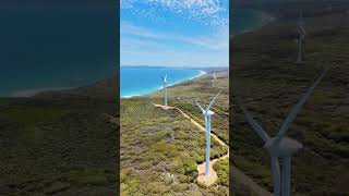 Albany wind farm [upl. by Dinin]