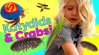 Katydids and Crabs JuJus Bug Hunt Adventure and New Pet Hermit Crabs [upl. by Aicinad140]