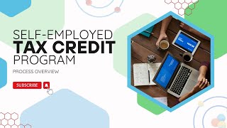 Self Employed Tax Credit Program Process Overview [upl. by Gessner794]