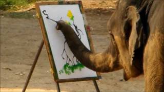 Elephants Painting Elephants  Suda the Rembrandt of Painting Elephants [upl. by Oirasec937]