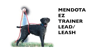 Mendota EZ Trainer LeadLeash [upl. by Atarman742]