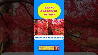 🌹SANTO EVANGELIO de hoy sábado 9 de noviembre de 2024 evangeliocatolico santoevangelio evangelio [upl. by Rieger819]