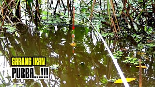 Terbukti Nyata Pemancing Liar Baru Pertama Buka Spot Di Huni Segerombolan Ikan Purbakala [upl. by Mollie374]