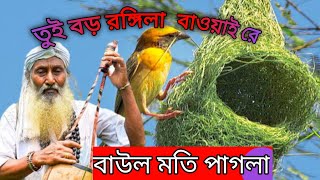 মতি পাগলার গান তুই বড় রঙ্গিল বাওয়াইরে sns1media baul gaan [upl. by Caldera]