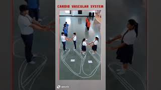 cardio vascular system shorts medical [upl. by Laktasic763]