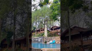 Tempat Healing di Puncak yang Bikin Candu villa promo puncak [upl. by Sima]