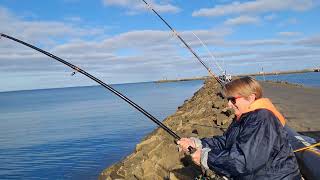 BIG Snapper Caught On The Lee Breakwater [upl. by Eerhs89]