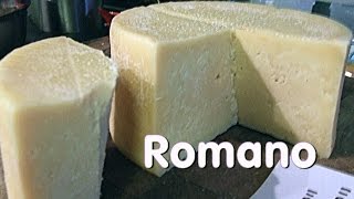 Making Vaccino Romano Cheese [upl. by Kcarb870]