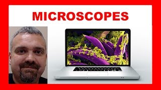 Electron Microscopy Basics [upl. by Noslrac411]