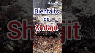 Shilajit bienfaits Mythe Réalité or noir Himalaya shilajit himalaya bienfaits shilajitbienfaits [upl. by Aydan]