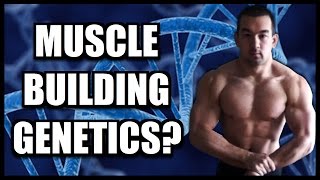 Muscle Building Genetics Do Genes Matter In Bodybuilding [upl. by Esinyt]