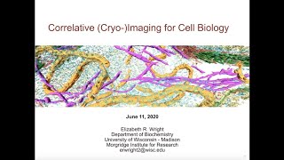 CryoCLEM webinar series No1  Correlative cryomicroscopy for cell biology [upl. by Gordon]