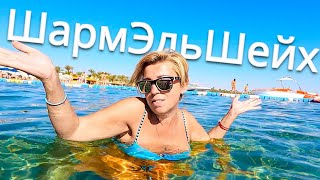 Египет 2024 МЫ ТАК ЭТОГО ЖДАЛИ Cataract Sharm Resort 4 Cataract Layalina 3 Шарм Эль Шейх 2024 [upl. by Dleifrag]