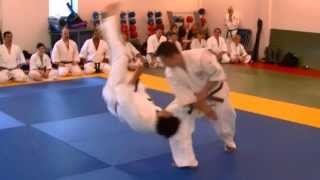 Goshin Ho 5th Dan Syllabus  Sakai Sensei amp Fujimoto Sensei [upl. by Anavi131]