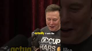 Elon musk elonmusk podcast joerogan powerfuljre [upl. by Mace]