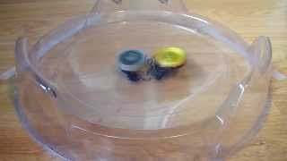 Beyblade Metal Fusion  Fight  Hell Kerbecs BD145DS VS Basalt Horogium 145WD HD [upl. by Nylirek]