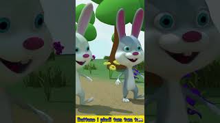 🐰 Il Coniglietto 🐰 Canzoni Per Bambini [upl. by Aehsat]