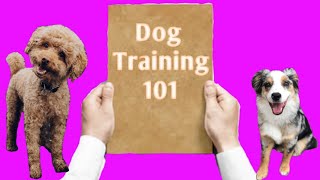 Beginners Guide to POSITIVE Reinforcement Dog Training  For Puppies and Adults [upl. by Wendi]