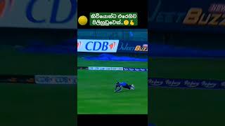 තම වගකීම කෙසේ හෝ ඉටුකරා🤜💞youtubeshorts srilanka cricketlover cricket [upl. by Akym]