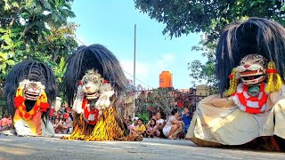 Aksi Rampak Barongan Blora Seni Barong SINGO KUBRO live Growong [upl. by Maribel]